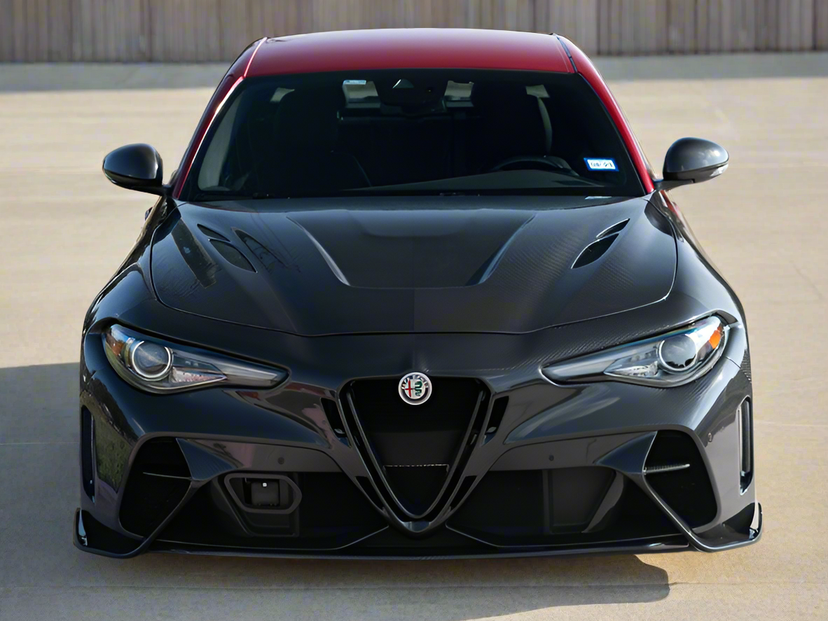 GTAM style Carbon Fiber Hood