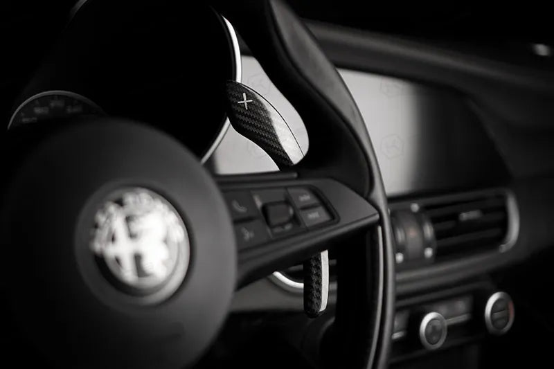 Carbon Fiber Paddle Shifters
